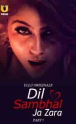 Dil Sambhal Ja Zara Erotik film izle